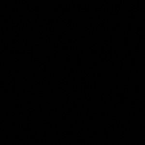 Meet your Posher, Gabby